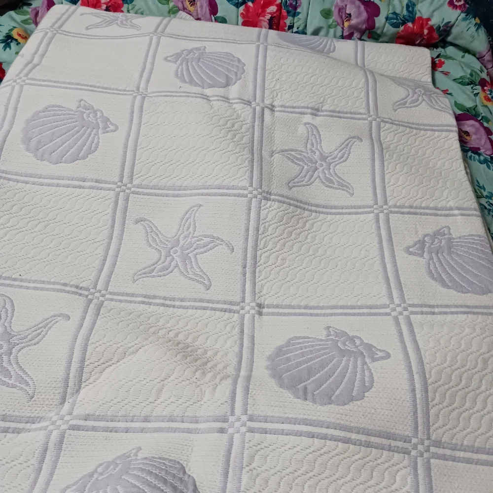 Quilt Bedding Shams Cream Blue Ocean Seashells Queen Bay Colony